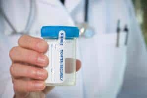 hide urine for drug testing